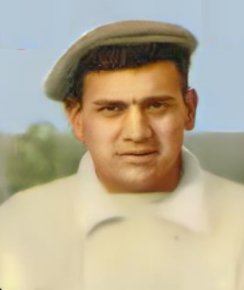 Alfredo Machado
