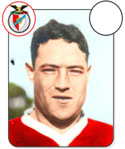 Anibal José