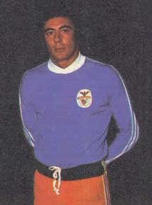 Botelho