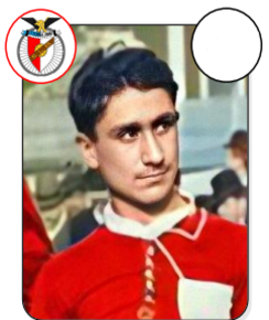 Carlos Homem de Figueiredo
