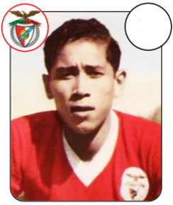 Du Fialho