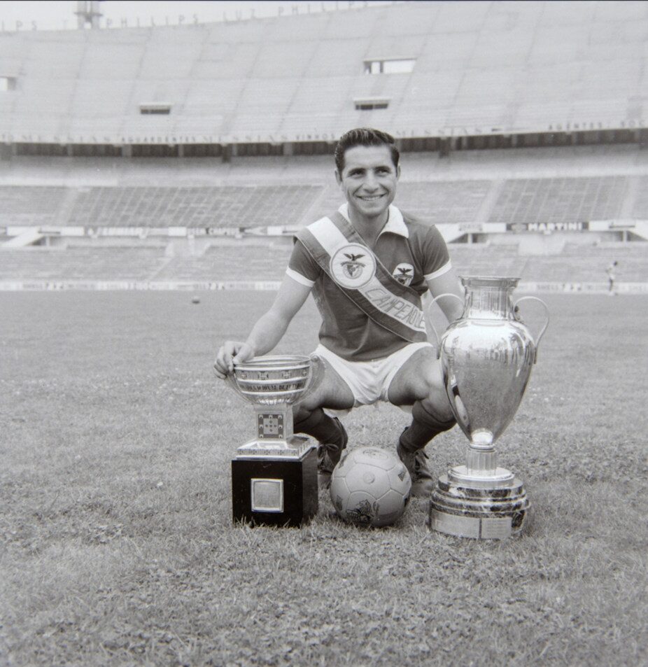Fernando Cruz