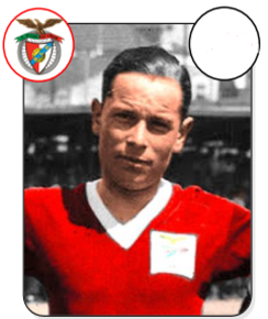 Francisco Gatinho