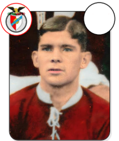 José Domingos Fernandes
