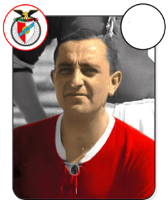 José Picoto