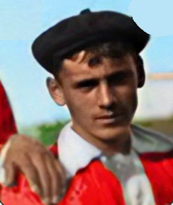 Luís Vieira
