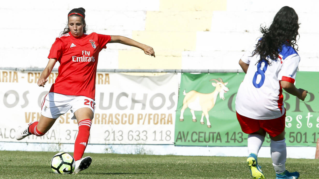 Pipa Rodrigues