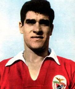 Raúl Machado