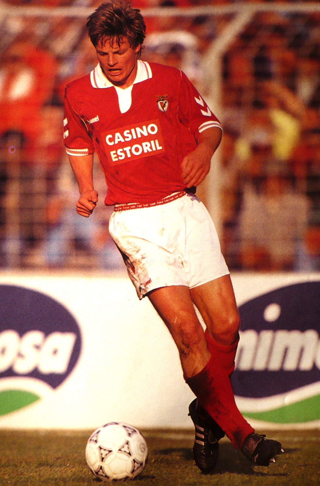 Stefan Schwarz